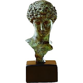 Head Of A Youth