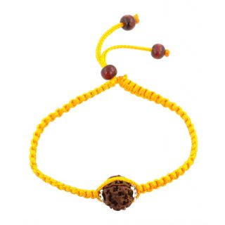 Holy Seven Faceted Rudraksha Adjustable Bracelet For Good Luck