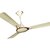 Crompton Greaves  Decorative Avancer High Speed Ceiling Fan 1200 mm