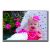 Baby girl laughing in pink dress Poster