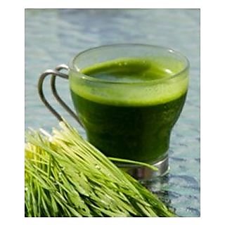 Doob Bermuda Grass Arugampul Powder 200 Gm