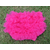 Bloomers - Chiffon Ruffled Baby Cotton Bloomers Raspberry 1-2 Y