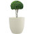 Yuccabe Italia P Cup Large Planter (Height 12 inch)