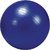 65cm Gym Ball with Foot Pump Exercise Ball 65 cm