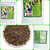 Buy 3 ic Regular Green Tea @ 279 (300 Gram)+ Free Shipping