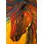 Mesleep Horse Canvas