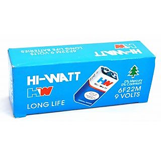 HW Battery (2pcs)