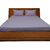 Smooth Cotton 500 Tc Large Stripe Bed Sheet (STL3BS142500)