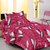 Homefab India 100 cotton Pink Double Bed Sheet With 2 Pillow Covers (DBS101)