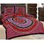 GRJ India Double Bed Sheet With 2 Pillow Cover (GRJ-DB-NC48PH-1)