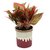 Exotic Green Red Aglaonema Indoor Plant English Purple Pot