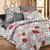 Story@Home 120 TC 100 Cotton White Double Bedsheet With 2 Pillow Cover(CN1256)