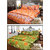 JARS collections Combo of 2  Floral Design Cotton Double Bedsheet with 4 Pillow Covers(100 Cotton)