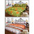 JARS collections Combo of 2  Floral Design Double Bedsheet with 4 Pillow Covers(100% Cotton)