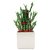 Exotic Green Lucky Bamboo 3 Layer in White Ceramic Pot Plant