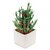 Exotic Green Lucky Bamboo 3 Layer in White Ceramic Pot Plant