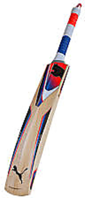 puma 3000 cricket bat