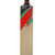 SLAZENGER V600 ELITE ENGLISH WILLOW CRICKET BAT SH