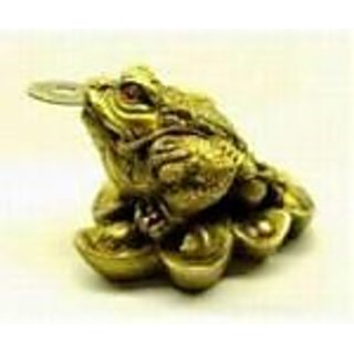 Frog with coin Frog with coin