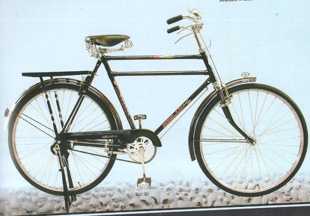 neelam cycle price 22 inch