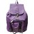 Women Purple backpack bag