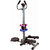 Multi Stepper With Twister  Dumbbells / Home Gym