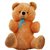 Beautiful Teddy Bear 24