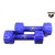 Hard Bodies Club PVC 1 Kg Dumbells ( 2 x 1kg)
