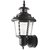 SuperScape Outdoor Lighting Exterior Wall Light Traditional WL1831