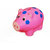 Speedage Piggy Popular Coin Bank (Multicolor)