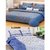 Akash Ganga Combo of 2 Cotton Double Bedsheets with 4 Pillow Covers (KM627)