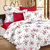 Ahmedabad Cotton Comfort Cotton Double Bedsheet Acb30D00031