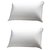 SnS PILLOWS PACK OF 2