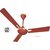 aronic Creation 1200 mm ( 48 inch) ISI marked 3 Blade Ceiling Fan (Brown)