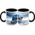 HomeSoGood Tortoise In Rain Coffee Mugs (2 Mugs) (HOMESGMUG1477-A)