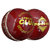 PROTOS LEATHER CRICKET BALL CLUB SPECIAL..!!