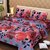 Akash Ganga Multi-Colour Cotton Double Bedsheet with 2 Pillow Covers (AG1284)
