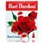 Hari Darshan Rose Canes Dhoop Bati Collection Pack Of 12