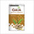 Gaia Ginger Green Tea (25 Tea Bags)