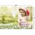 Cute New Born Baby / Non-Tearable Synthetic sheet Poster (13x19 inches) PB134