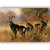 Vitalwalls Animal Painting Canvas Art Print(Animal-006-60cm)