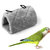 Gray Parrot Bird Hammock Hanging Cave Cage Plush Snuggle Happy Hut Tent Bed Bunk Parrot Toy M