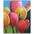 Vitalwalls-Abstract Painting Premium Canvas Art Print.(Abstract-640-45cm)