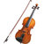 Oriental Violin