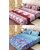 Furhome Combo Of 2 Double Bed Sheets With 4 Pillow Cover (To506)