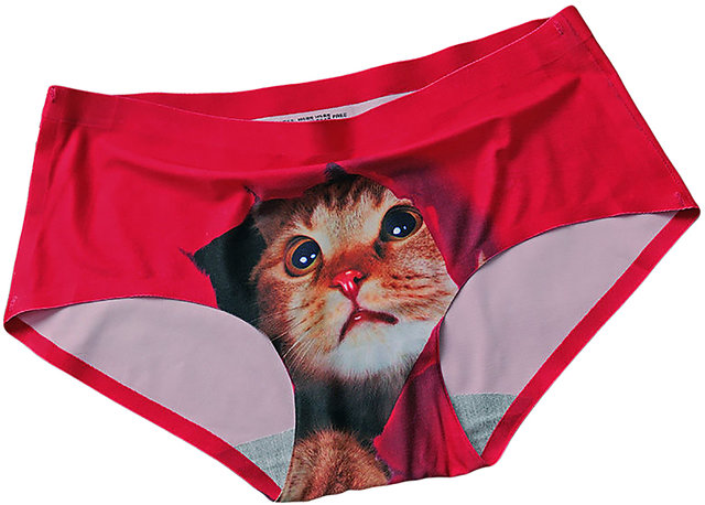 Buy Pussycat Panties Women Sexy Hipsters Safty Panties 3D Cat Invisible  Underwear (Blue) Online at desertcartINDIA