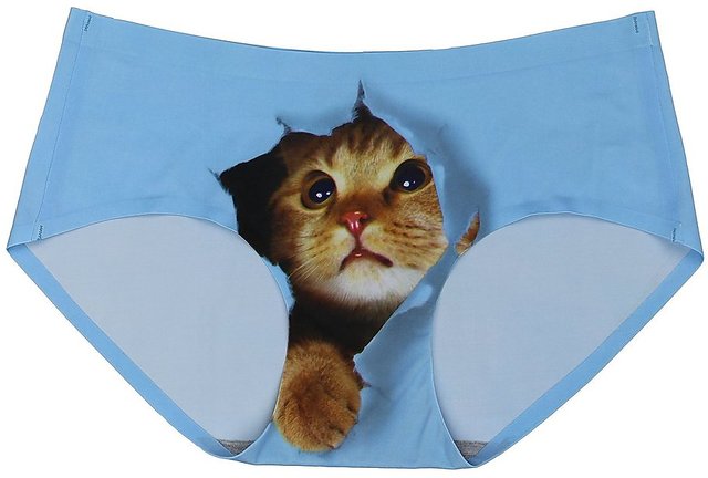Buy Pussycat Panties Women Sexy Hipsters Safty Panties 3D Cat Invisible  Underwear (Blue) Online at desertcartUAE