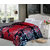 Story @ Home Floral 1 Single Quilt / Comforter-CFS1203
