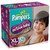 Pampers Active Baby Regular Diaper XL - 32 Pcs Pack of 2