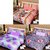 Akash Ganga Beautiful Combo of 3 Double Bedsheets with 6 Pillow Covers (AGK1217)